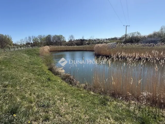 Eladó mezőgazdasági ingatlan Balogunyom 64619 nm