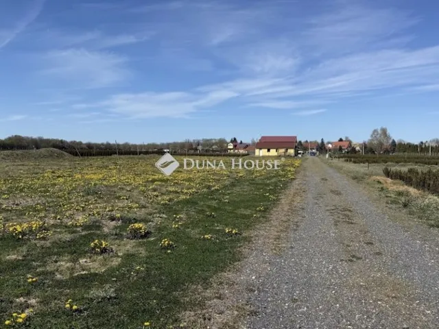 Eladó mezőgazdasági ingatlan Balogunyom 64619 nm