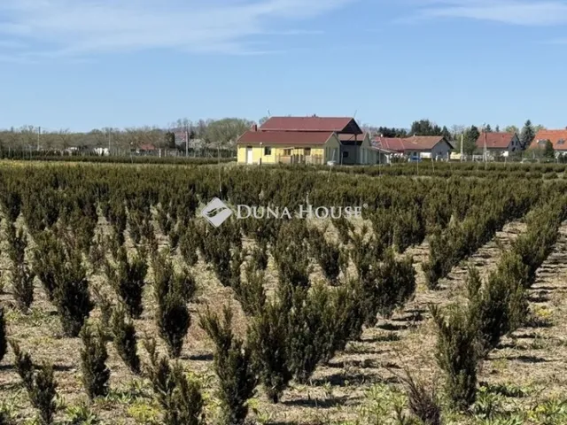 Eladó mezőgazdasági ingatlan Balogunyom 64619 nm