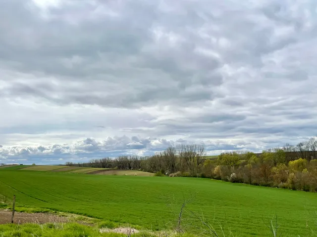 Eladó telek Enying 1484 nm