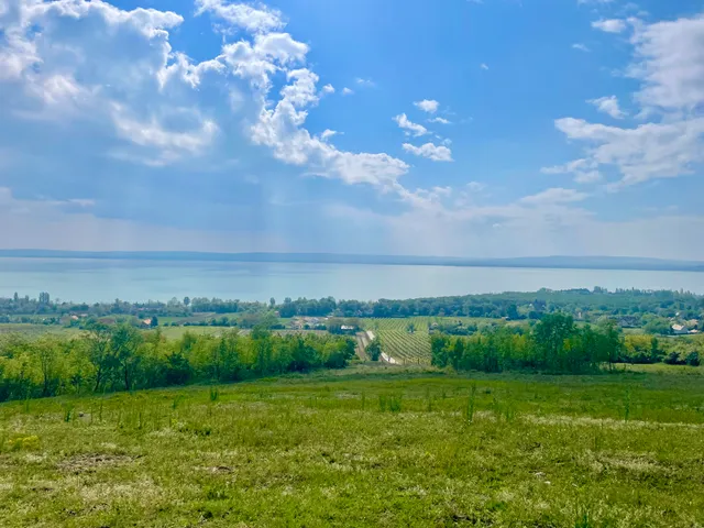 Eladó telek Balatonszepezd 12701 nm