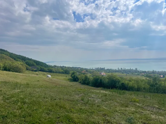 Eladó telek Balatonszepezd 12701 nm