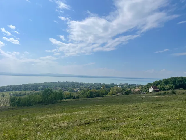 Eladó telek Balatonszepezd 12701 nm