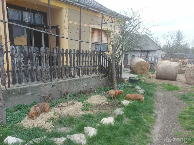 Eladó ház Bodorfa 120 nm