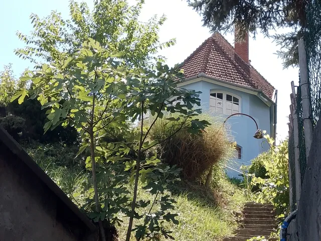 Eladó ház Zalakaros 215 nm