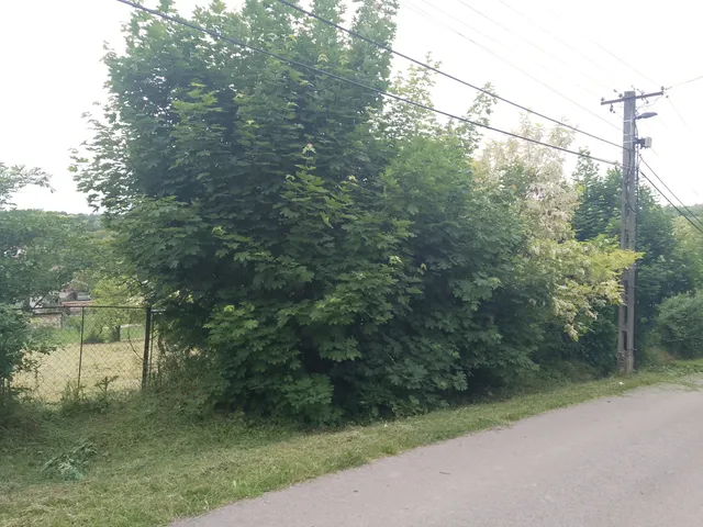 Eladó telek Bálványos 1196 nm