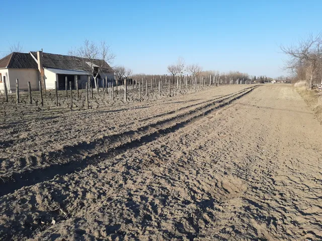 Eladó telek Kisbér 1708 nm
