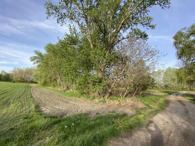 Eladó telek Komárom, Gerlai dülő 1215 nm