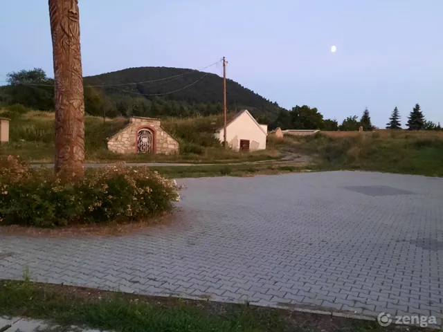 Eladó mezőgazdasági ingatlan Abaújszántó 60 nm