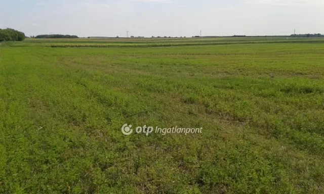 Eladó mezőgazdasági ingatlan Sopron 8662 nm