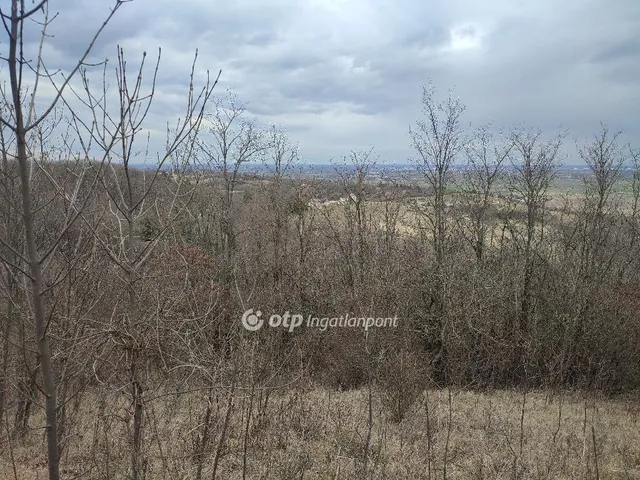 Eladó telek Győrújbarát 4791 nm