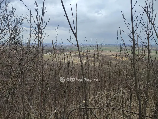 Eladó telek Győrújbarát 4791 nm