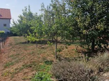 Eladó ház Csopak 131 nm