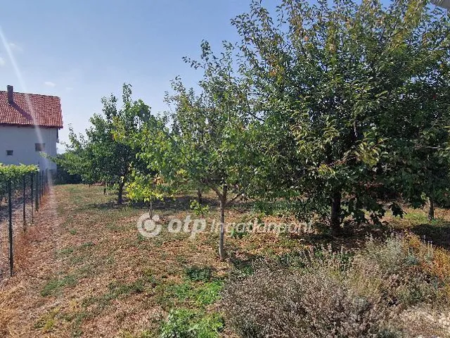 Eladó ház Csopak 131 nm