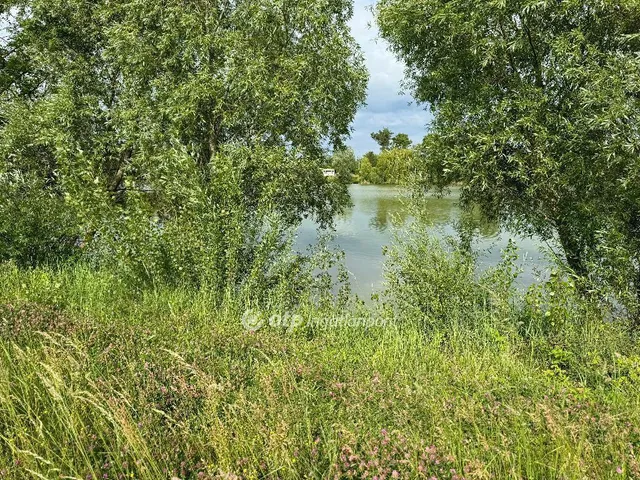 Eladó ház Hövej 62 nm