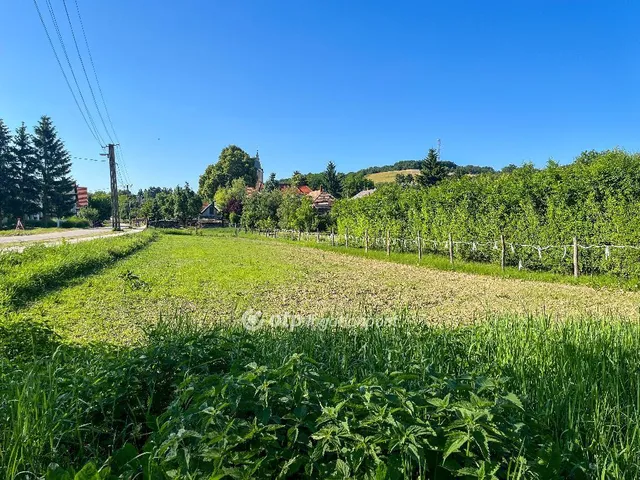 Eladó telek Bakonyszentkirály 1000 nm