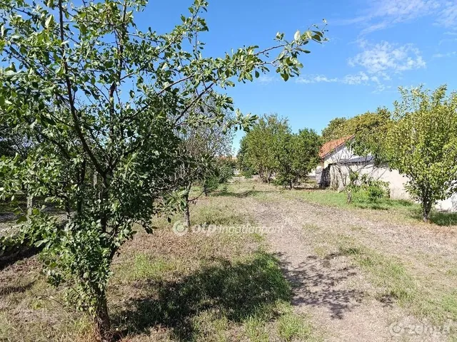 Eladó telek Mosonszolnok 737 nm
