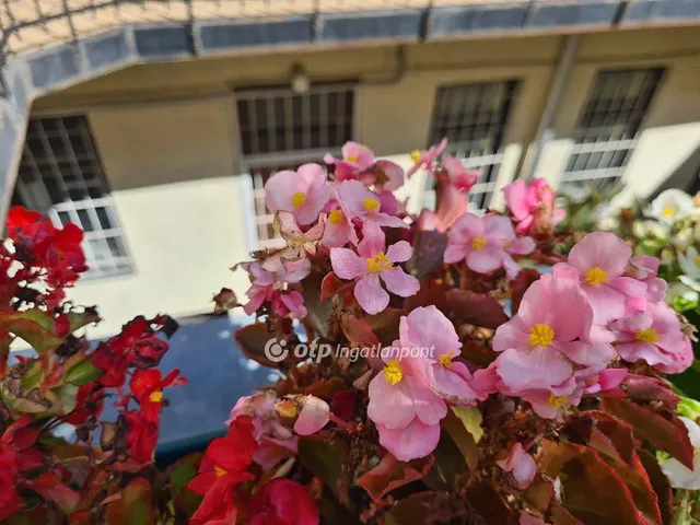 Eladó kereskedelmi és ipari ingatlan Budapest IX. kerület 76 nm