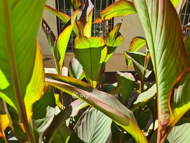 Eladó kereskedelmi és ipari ingatlan Budapest IX. kerület 76 nm