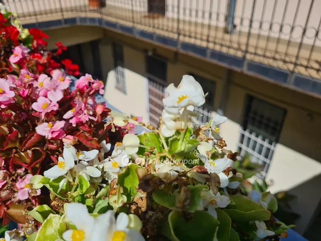 Eladó kereskedelmi és ipari ingatlan Budapest IX. kerület 76 nm