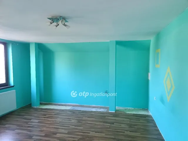 Eladó ház Isaszeg 232 nm