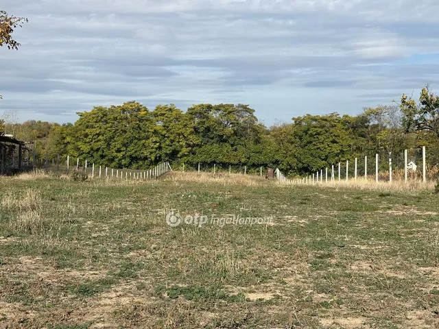 Eladó ház Gomba 113 nm