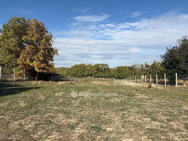 Eladó ház Gomba 113 nm