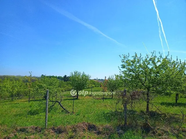 Eladó telek Aszód 2696 nm
