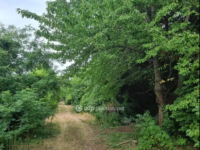 Eladó telek Budakeszi 2630 nm