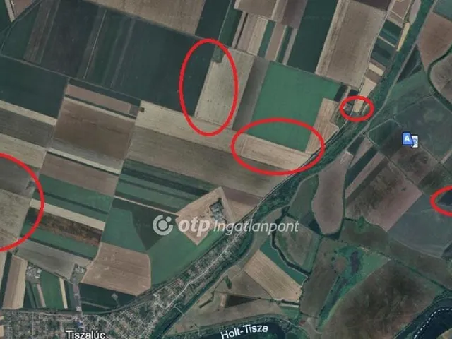 Eladó mezőgazdasági ingatlan Taktaharkány 152800 nm