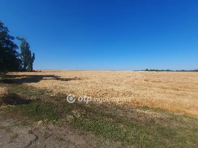 Eladó mezőgazdasági ingatlan Taktaharkány 152800 nm