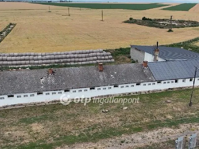 Eladó mezőgazdasági ingatlan Tiszalúc 300049 nm