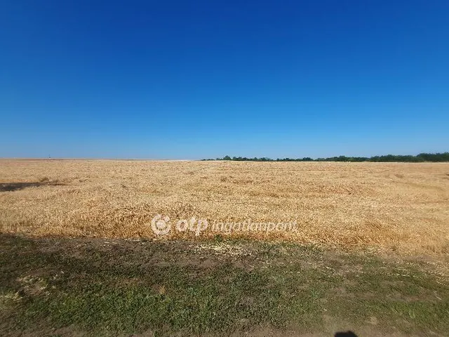 Eladó mezőgazdasági ingatlan Tiszalúc 300049 nm