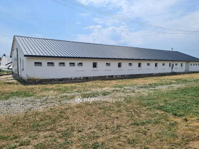 Eladó mezőgazdasági ingatlan Tiszalúc 300049 nm