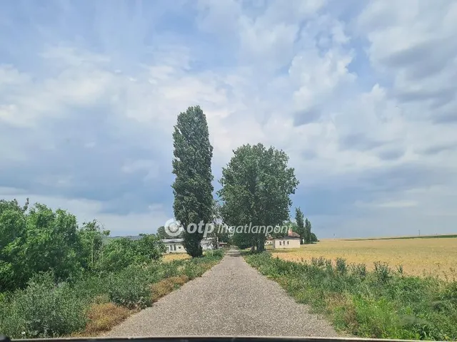 Eladó mezőgazdasági ingatlan Tiszalúc 300049 nm