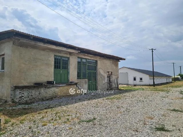 Eladó mezőgazdasági ingatlan Tiszalúc 300049 nm