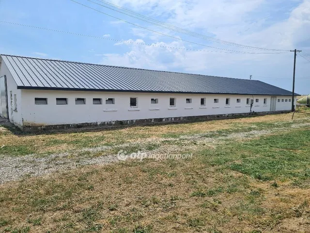 Eladó mezőgazdasági ingatlan Tiszalúc 300049 nm