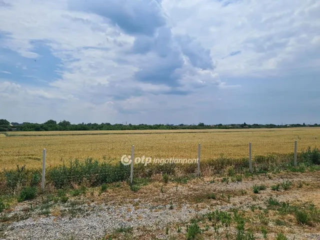 Eladó mezőgazdasági ingatlan Tiszalúc 300049 nm