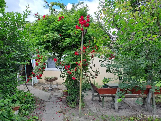 Eladó ház Szeged, Subasa 130 nm
