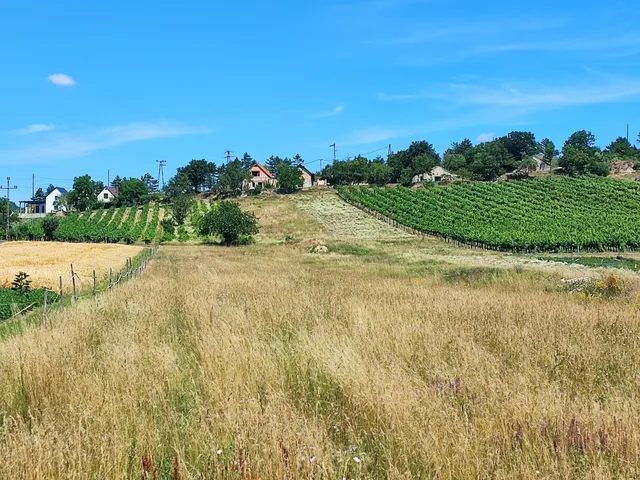 Eladó telek Pécsely 5588 nm