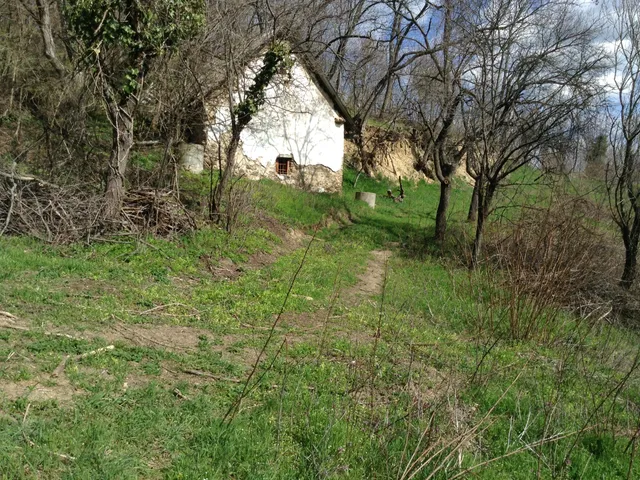 Eladó telek Mindszentkálla 9636 nm