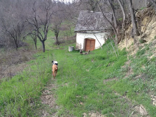 Eladó telek Mindszentkálla 9636 nm