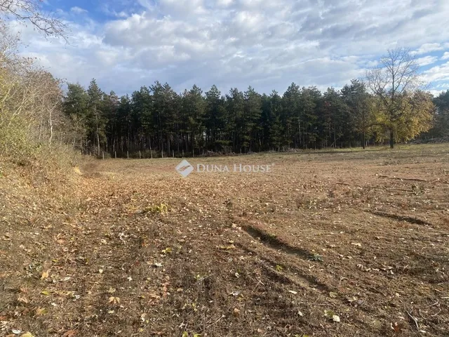 Eladó kereskedelmi és ipari ingatlan Paks 5495 nm