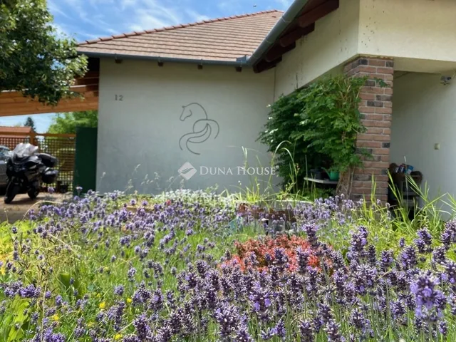 Eladó ház Budajenő 216 nm