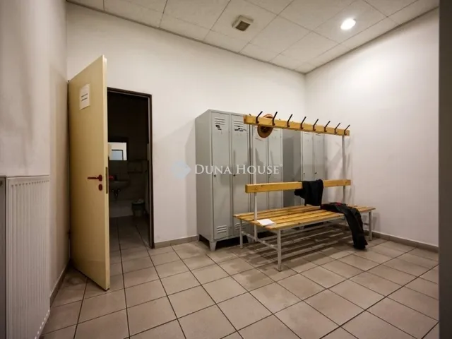 Eladó kereskedelmi és ipari ingatlan Alsónémedi 3700 nm