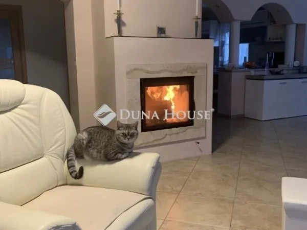 Eladó ház Telki 520 nm