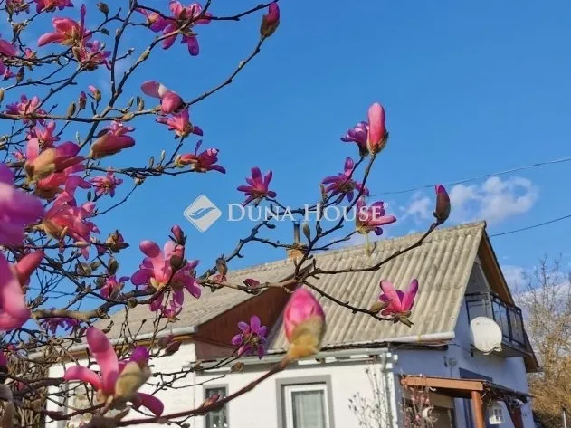 Eladó ház Budakeszi 60 nm