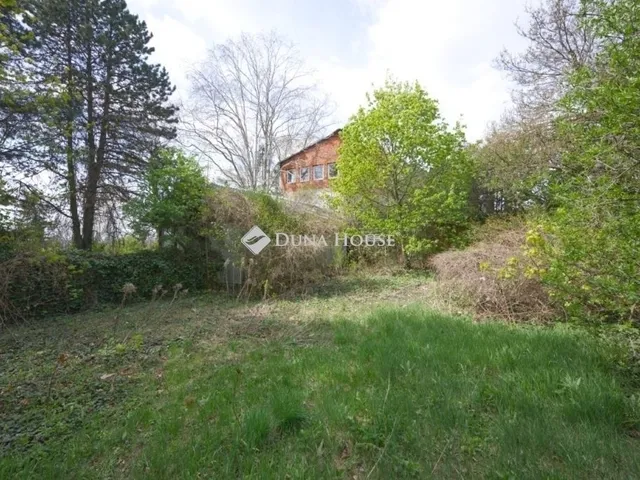 Eladó telek Budakeszi 3838 nm