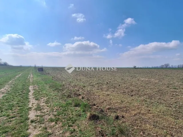 Eladó telek Páty 2218 nm