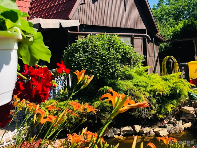 Eladó ház Orosháza, Gyopárosfürdő 100 nm